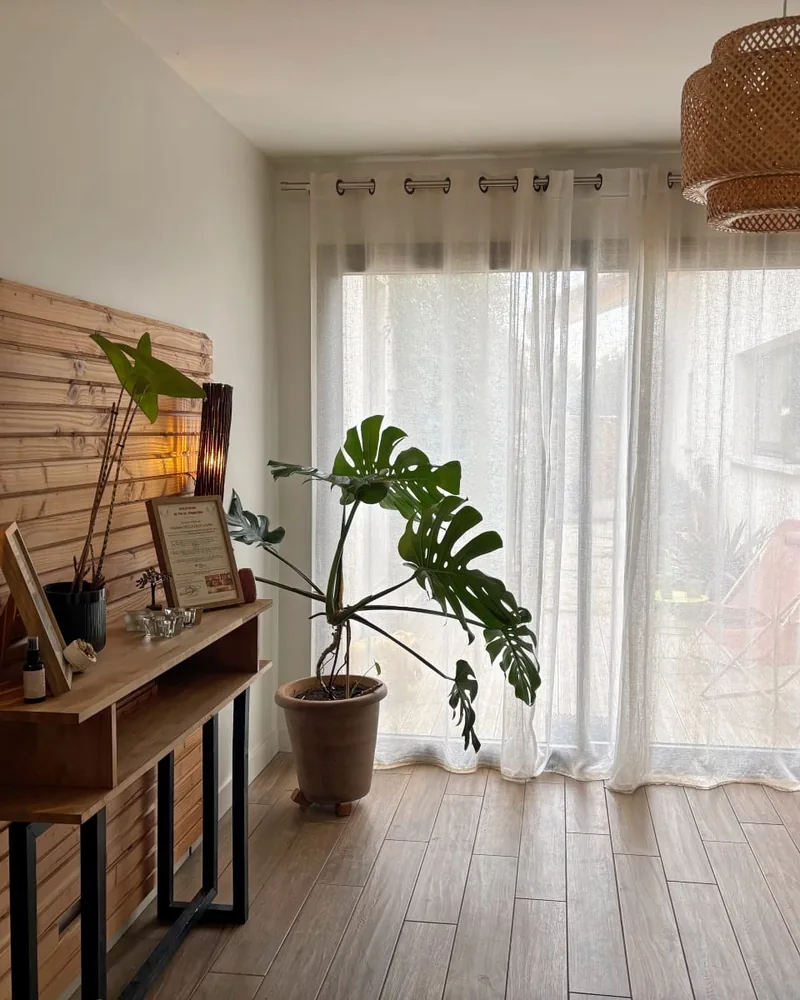 Un coin de l'atelier, sa plante et la lumière derrière le voilage